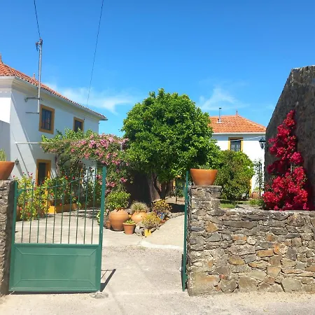 Appartement O Ninho Do Rei à Vila de Rei Extérieur photo
