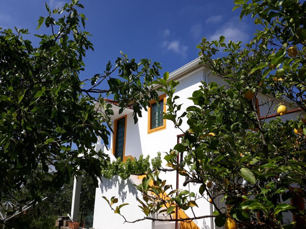 Appartement O Ninho Do Rei *